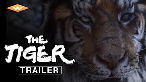 the tiger
