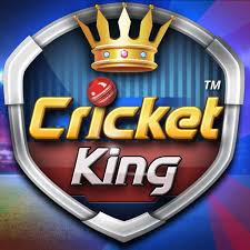 King Of Cricket Games