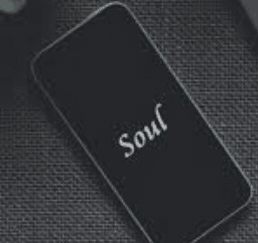 Soul Browser
