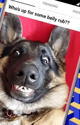 9GAG MOD APK