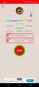 BD Net VPN
