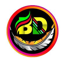 BD Net VPN