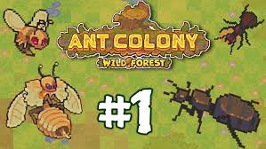 Ant Colony