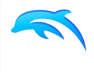 Dolphin Emulator