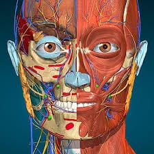Anatomy Learning 3D Atlas App