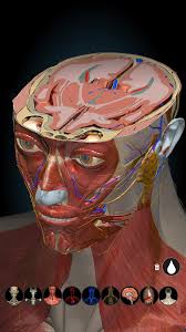 Anatomy Learning 3D Atlas App