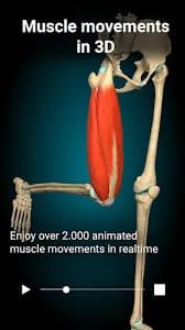 Anatomy Learning App