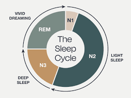 Sleep Cycle