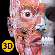 Human Anatomy Atlas MOD APK 2025