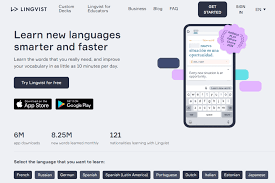 Lingvist work
