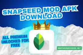 Snapseed MOD APK