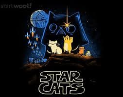 Cats Stars