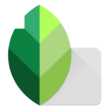 Snapseed MOD APK